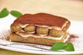 Tiramisu Royalty Free Stock Photo