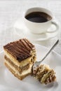 Tiramisu cake Royalty Free Stock Photo