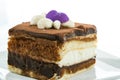 Tiramisu cake