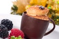 Tiramisu cake in chocolate cup Royalty Free Stock Photo