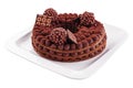 Tiramisu cake with chocolate decoration Royalty Free Stock Photo