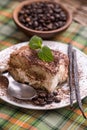 Tiramisu cake Royalty Free Stock Photo