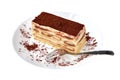 Tiramisu cake/ dessert with cacao and fork on a porcelain plate on the white background.