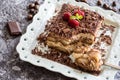 Tiramisu Cake with Grated Chocolate, Raspberry and Mint. Perfect Dessert. Royalty Free Stock Photo