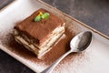 Tiramisu Cake Homemade Dessert with Mascarpone Cheese and Espresso Coffee Royalty Free Stock Photo