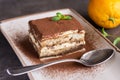 Tiramisu Cake Homemade Dessert with Mascarpone Cheese and Espresso Coffee Royalty Free Stock Photo