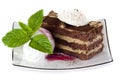Tiramisu cake with ice cream Royalty Free Stock Photo