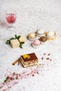 Tiramisu cake and ice cream Royalty Free Stock Photo