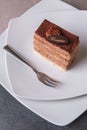 Tiramisu Cake Royalty Free Stock Photo
