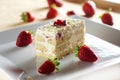 Tiramisu cake with strawberry Royalty Free Stock Photo