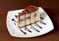 Tiramisu cake on a white plate