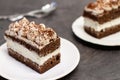 Tiramisu - Classical dessert with mascarpone and coffee