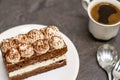 Tiramisu - Classical dessert with mascarpone and coffee