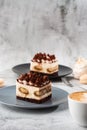 Tiramisu - Classical dessert with mascarpone and coffee. Delicious Tiramisu cake on a darck plate on a light marble background.