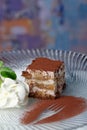 Tiramisu - Classical Dessert