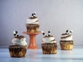 Tiramisu cupcakes piled high with white frosting and dusted with