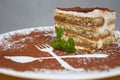 Tiramisu dessert Royalty Free Stock Photo