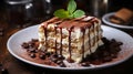 Tiramisu dessert