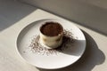 Tiramisu dessert isolated on grey background. Coffee and cacao.