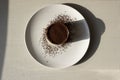 Tiramisu dessert isolated on grey background. Coffee and cacao.