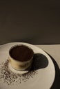 Tiramisu dessert isolated on grey background. Coffee and cacao.