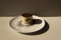 Tiramisu dessert isolated on grey background. Coffee and cacao.