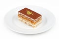 Tiramisu Dessert Slice on White Plate Royalty Free Stock Photo