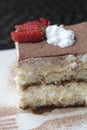 Italian Tiramisu made with chocolate and layers of cake and cream, topped with strawberries Royalty Free Stock Photo