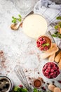 Tiramisu with mint and raspberries Royalty Free Stock Photo