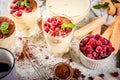 Tiramisu with mint and raspberries Royalty Free Stock Photo