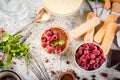 Tiramisu with mint and raspberries Royalty Free Stock Photo