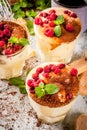 Tiramisu with mint and raspberries Royalty Free Stock Photo