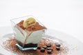 Tiramisu in taster with cocoa powder and coffee beans on white plate, italian desserts, patisserie, italian gastronomy, photograph