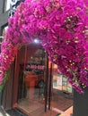 The entrance of a bar decorated with violet orchids