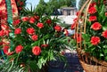 Tiraspol, Transnistria - September 2, 2020: date 30th anniversary of independence, flowers on memorial to fallen soldiers, Russian