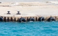 Tire Bumpers on Concrete Pier