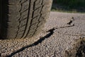 Tire And Cracked Asphalt Royalty Free Stock Photo