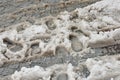 Tire and foot tracks on snow Anti-icing chemicals