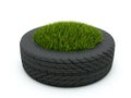 Tire with grass