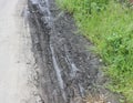 Tire imprint in dirt on dirt road, green grass