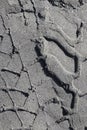 Tire imprints on the sand in blak and white