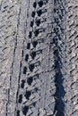 Tire marks on wet ground, vertical background texture Royalty Free Stock Photo