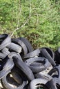 tire pollution in woods trashing nature into a landfill Royalty Free Stock Photo