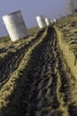 Tire prints on the beach Royalty Free Stock Photo