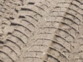 Tire prints in mud