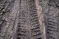 Tire prints on wet ground Royalty Free Stock Photo