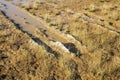 Tire ruts damage wet soil illegal Royalty Free Stock Photo