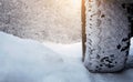 Tire on the snowy road