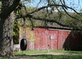 Tire Swing Royalty Free Stock Photo