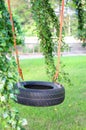 Tire swing Royalty Free Stock Photo